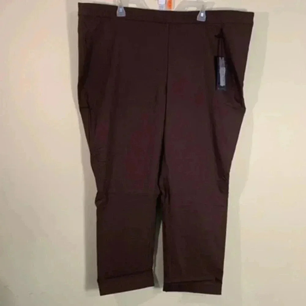 NWT Lane Bryant the Sophie‎ Straight Fit Slim Leg Sz 26 Short